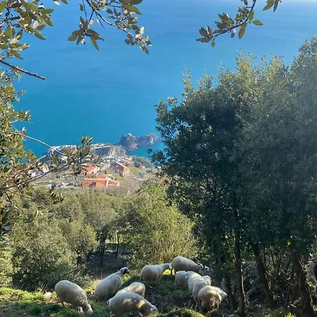 Miramare Гостевой дом Аджерола