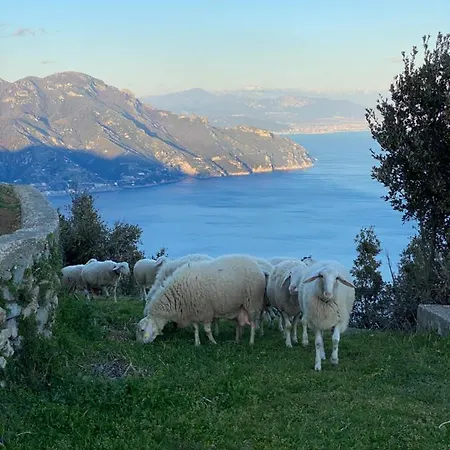 Miramare