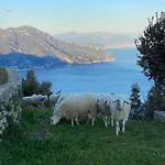 Miramare