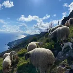 Miramare 3* أَجيرولا