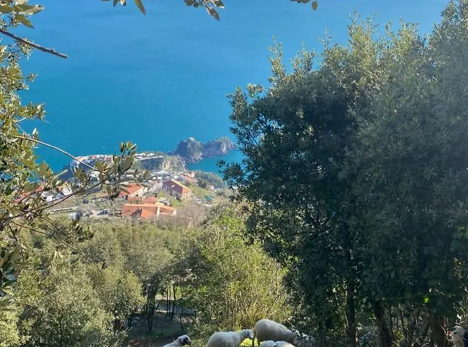 Miramare Gæstehus Agerola