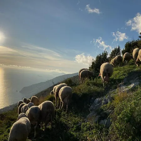 Miramare * Agerola
