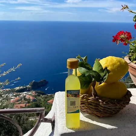 Guest house Miramare *