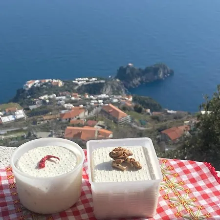 Guest house Miramare